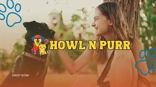 HowlNPurr&trade; | Premium Comfort, Play & Style for Dogs & Cats