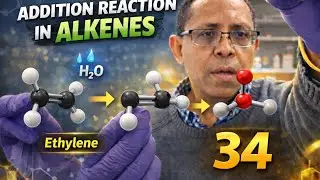 Organic Reactions of Alkenes | Addition Reactions, Markovnikov Rule, Stereochemistry & Mechanisms