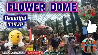 FLOWER DOME | BEAUTIFUL TULIP | LADY PANDAKEKZ #subscribe #singapore 