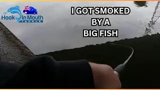 I got smoked by a big dog - Fishing Maribyrnong River #shorts