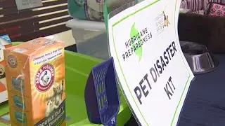 How to get your pets ready for hurricane season