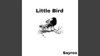 Little Bird