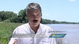 Un Delta con fuertes ra&iacute;ces