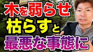 木を弱らせて枯らすのはデメリットが多すぎるのでやめた方が良い