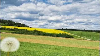 D&auml;tzingen / Heckeng&auml;u