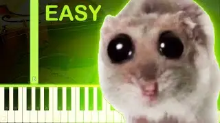 SAD HAMSTER VIOLIN MEME SONG - EASY Piano Tutorial