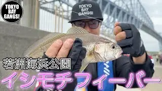 【初心者必見！】若洲海浜公園でイシモチフィバー！ TOKYO BAY GANGS