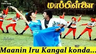 மானின் இரு கண்கள்/ Maanin Iru Kannkal /Tamil HD Song / Mappillai / Rajinikanth/ Amala / Ilaiyaraja