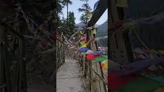 Harsil ⛰️ #youtubeshorts #travel #mountainswiev #backgroundmusic #nature #mountains #music #love 💗🌱✨
