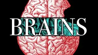 Brains, an original web series!