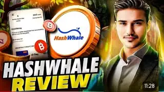 Hashwhale project explain by step by step crypto zombie yt compelt Review 2025 ( dyor)