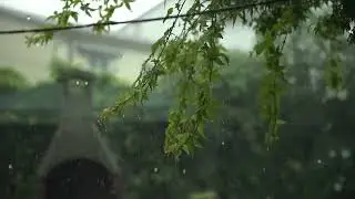 Gentle Rain & Distant Thunder for Sleeping (3 Hours) | White Noise