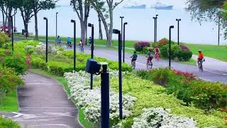 The Shore Residences