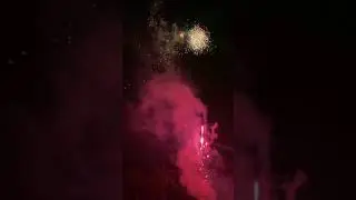 Flamingo 187 shots