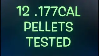 Pellet terminal ballistics testing
