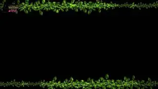 Green screen effects, kinemaster mod apk, kinemaster app, Animated background