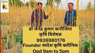 मुनाफा बढ़ाने एवं लागत घटाने के लिए खेती में अभिनव प्रयोग ,,,,