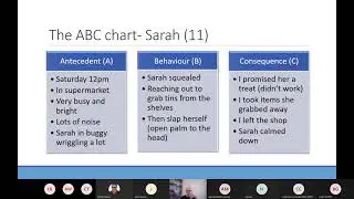 Introduction to Understanding Behaviours of Concern