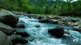 Calm River Crossing at Night | Gentle Flowing Water Sounds for Deep Sleep and Relaxation