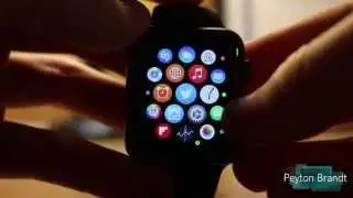 Apple Watch Accessibility Options