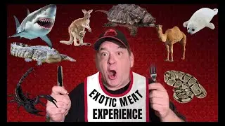 Exotic Jerky Experience- Great Fathers Day Gift | Travel Vlog