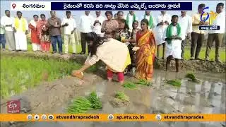 రైతులతో కలిసి వరి నాట్లు వేసిన MLA | MLA Sravani Joins Farmers in Paddy Planting at Singanamala