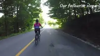 Cycling to Musselman Lake &mdash; Scenic Roads, Lakeside Views & Hidden Aurora Spot