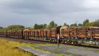 Very long log train at Hellifield Station this afternoon