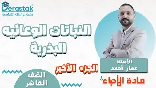 النباتات الوعائيه البذرية الجزء الاخير ||  أحياء || الصف العاشر || أ. عمار احمد