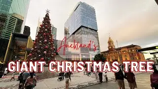TE MANAAKI, AUCKLAND’S GIANT CHRISTMAS TREE | O.D. WOW