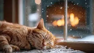 Gentle Morning Jazz for Sleeping Cats 🐱☀️ | Soft Wake-Up Calm