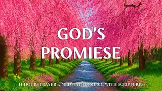 PEACEFUL REFLECTIONS | Encouraging Scriptures & Gentle Worship Piano | Christian Harmonies #37