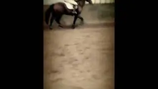 This my first ride on my new horse, Argyle