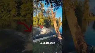 Swing. Fly. Regret. Splash!#Shorts #FailOfTheDay #ComedyClip #KidFalls