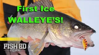 First Ice Red Lake Walleye-Fish Ed