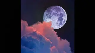 (FREE) NAV x Lil Uzi Vert Type Beat - ALONE