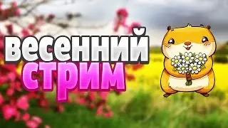 БРУТАЛЬНЫЙ МАЙНКРАФТ СТРИМ НА VIMEWORLD (ПАТИ БЕСПЛАТНО 10 МЕСТ)