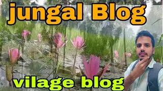 Village Blog/ mera piyara gawn / gan ki jungle video/ jalaluddinblog 