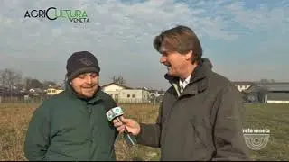 AGRICULTURA VENETA - ALLEVAMENTO A TUTTO TONDO 11-01-2020 13:14