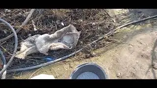 Каврак бизнеси. 2024-йил