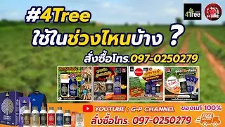4 Tree โฟร์ทรี ใช้ช่วงไหนได้บ้าง ? สั่งซื้อโทร. 097-0250279