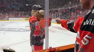 Steeler Dan - Rock Paper Scissors.
