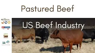 Pastured Beef Production &ndash; US Beef Industry Teaching Tools for Beginning Farmers
