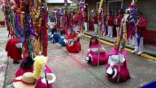PALLAS  TOMASINAS.