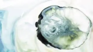 NO HUMAN CONTACT - INFECTION (OFFICIAL VIDEO)