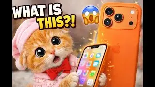 Coco Discovers the iPhone 17 PRO 📱 | Cutest Kitten Tech Surprise!