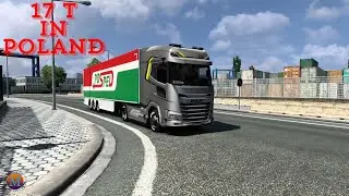 Frozen Cargo Challenge | 17 Tons of Chicken Meat Delivery in Poland &ndash; DAF XF|#ets2|