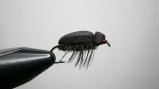 Tying Utah's Soft Beetle by UtahsFlyCorner