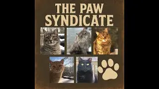 The Paw Syndicate Club House Live Stream