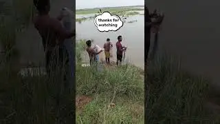 Puri nauka bihar fishing